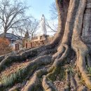 공세리마을 이미지