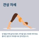 요가5 이미지