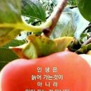 품미향 이미지