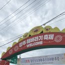 해바라기신발 | 경남함안축제 강주해바라기축제 방문 후기｜경남가볼만한곳 함안가볼만한곳 추천