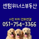 인텔리움 센텀 이미지