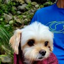 물멍물멍 이미지