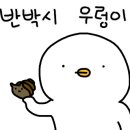 송 쉐프키친 이미지
