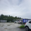강릉순두부젤라또