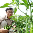 민들레양계장 이미지