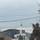 달리짐(DALLI GYM) | 올해 결혼기념일의 기록 - 롯데호텔서울 이그제큐티브, 르살롱 라운지, 청계천①