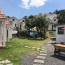 평화로 3-1 버스정류장 이미지