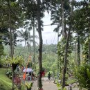 허니문식당&슈퍼 | 발리 허니문리조트 패키지 발리스윙 추천 후기 드레스 대여 가격 사진 꿀팁