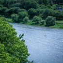 대황강 출렁다리 화장실 이미지