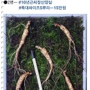 횡성인력 이미지