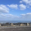 제주 올레길 19코스 | [1루 밖 풍경들] 제주 올레길 19코스 완주 후기 (함덕해수욕장 인생네컷, 세화갈비, 감성카페 so much...
