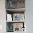 금암 | 전주 안경점 ‘채플린안경콘택트 금암점’ 안경 제작 후기💡