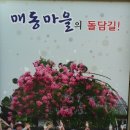 둘레길황토방민박 이미지