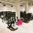 데일리프로젝트 피트니스 이미지