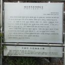 대포리 석조여래입상 이미지