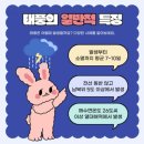 UFC 국제체육관 석남점. 복싱, 킥복싱, 무에타이, MMA 이미지