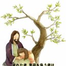 2026-07-05한국 성직자들의 수호자 성 김대건 안드레아 사제 순교자기념일＜너희는 나 때문에 총독들과 임금들 앞에 끌려가 그들과 다 이미지