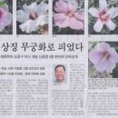 무궁화로 이미지