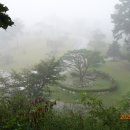 여주-0841 이미지