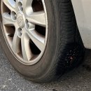 애니카랜드 초지점 이미지