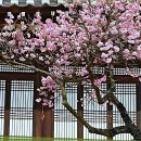 인천지방경찰청 앞 | 따끈따끈한 장롱면허 탈출! 이모티콘으로도 못 담을 찐감동 후기