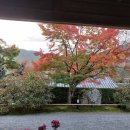 오하라 Daum카페