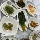 더덕명가 | 울릉도 저동 명가식당 / 따개비밥 홍합밥 섭밥 시간/솔직후기/ 나리분지 야영장 식당 오징어전 더덕전