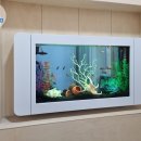 예쁜별어린이집 이미지