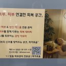 나를 위로하는 감정테라피 이미지