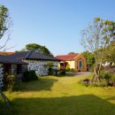 제주 토브 이미지