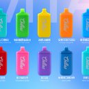 비타민전자 이미지