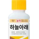 소론링크