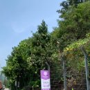 (주)굿시스템 - 청주시 상당구 | (주)굿시스템
