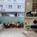 꽃보다꽈배기 이미지
