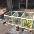 가든조류원 이미지