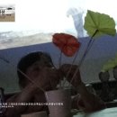 초록길도서관 이미지