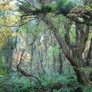 성산에코 이미지