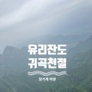 명송 | 중국 장가계 필수코스 천문산 유리잔도 귀곡천절 후기
