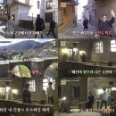 배*진 마이데일리