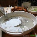 꿀참나무 이미지