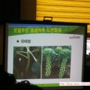 옥산떡집 이미지