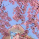 보육교사론 이미지
