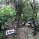 신재한의원 | 광양 백운산 산행