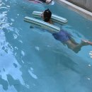 솔낭 | 솔낭_제주동쪽 여행 조천 자쿠지&amp;수영장 프라이빗 독채풀빌라