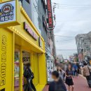 캐칭덕 이미지
