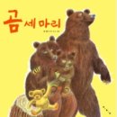 돈곰 이미지