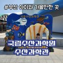 부산 아이와 가볼만한 곳 국립 수산과학관 무료 아쿠아리움