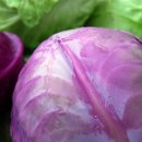 K-휘트니스2 이미지