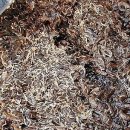 선동 모터스 이미지