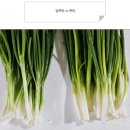 진이농원 | 실파 쪽파 차이 알고 계시나요? 당일손질 신선한 깐실파 1kg 추천 및 활용 꿀팁
